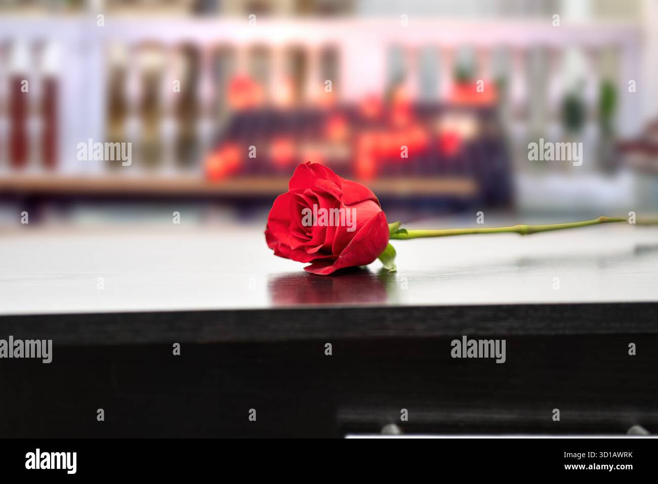 Funérailles, rose et fleur sur cercueil dans le cimetière pour la cérémonie d'enterrement en plein air pour la personne en deuil dans la mort, le chagrin ou le souvenir. Cimetière, roses ou flo Banque D'Images