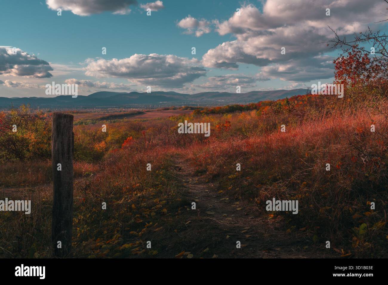 Une belle journée d'automne avec un long et étroit chemin à travers un champ d'herbe rouge et jaune. Le ciel est nuageux, mais le soleil brille à travers les nuages, Banque D'Images