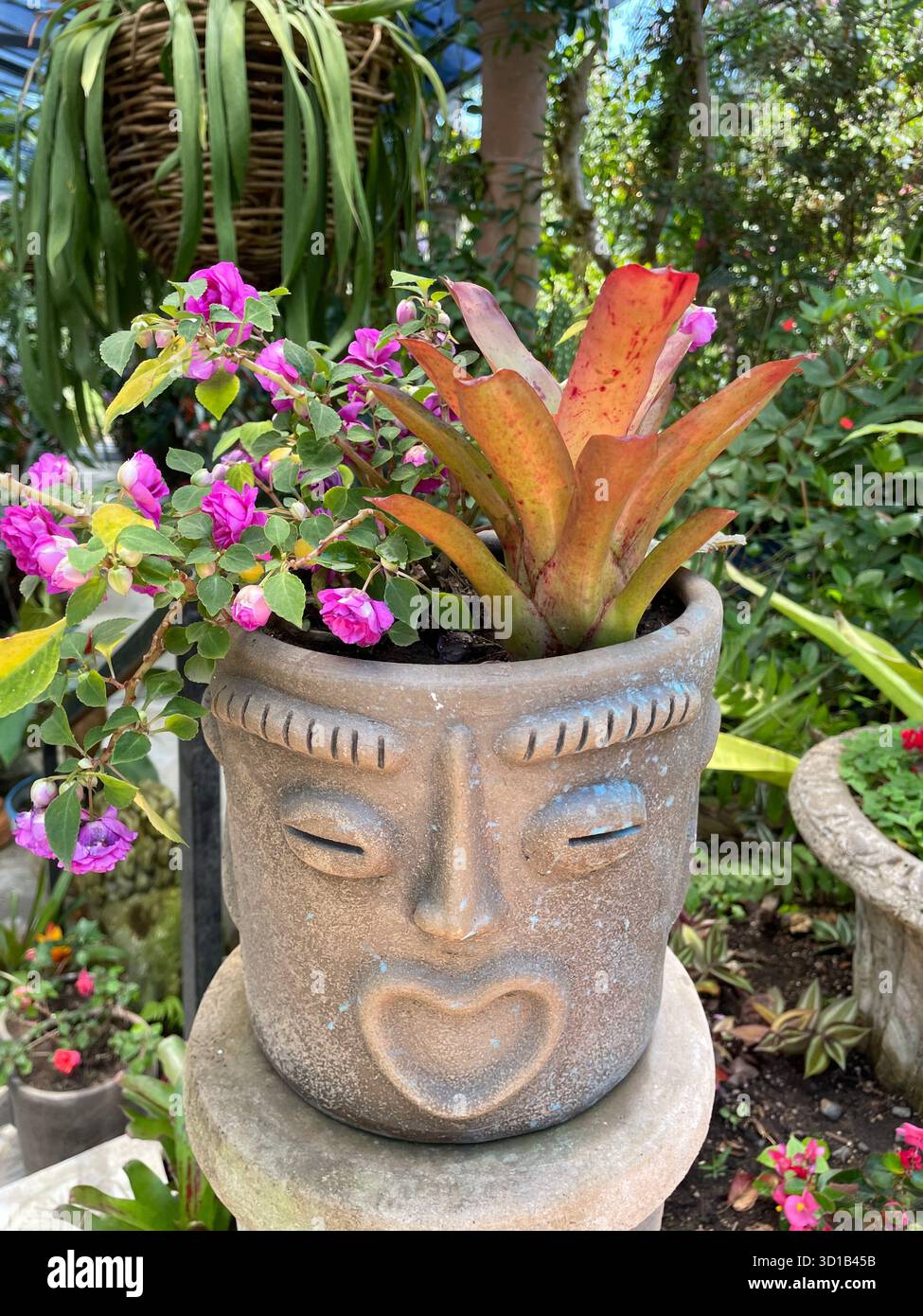 Jardinière décorative avec plante tropicale et fleurs roses dans un jardin luxuriant - Image de stock capturée avec un smartphone