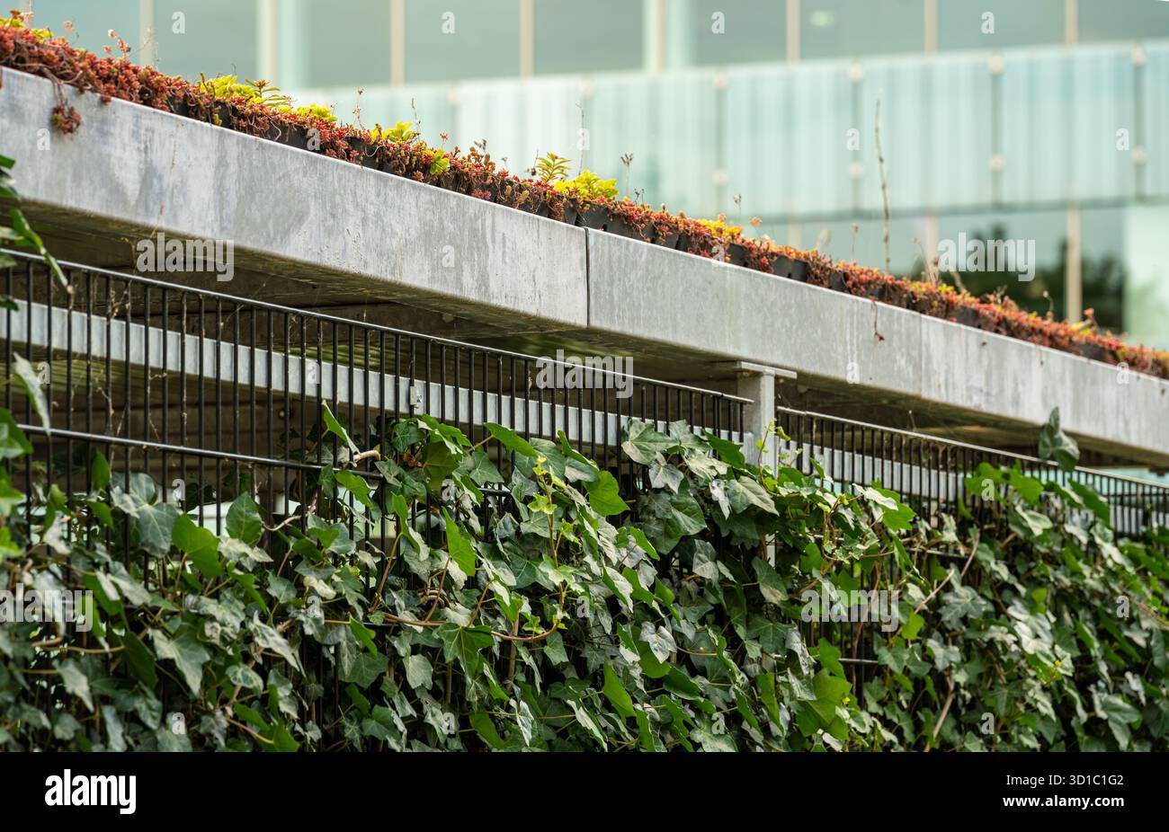 Structure extérieure avec toit et mur de vie vert, caractéristique architecturale écologique contemporaine mettant l'accent sur la durabilité Banque D'Images