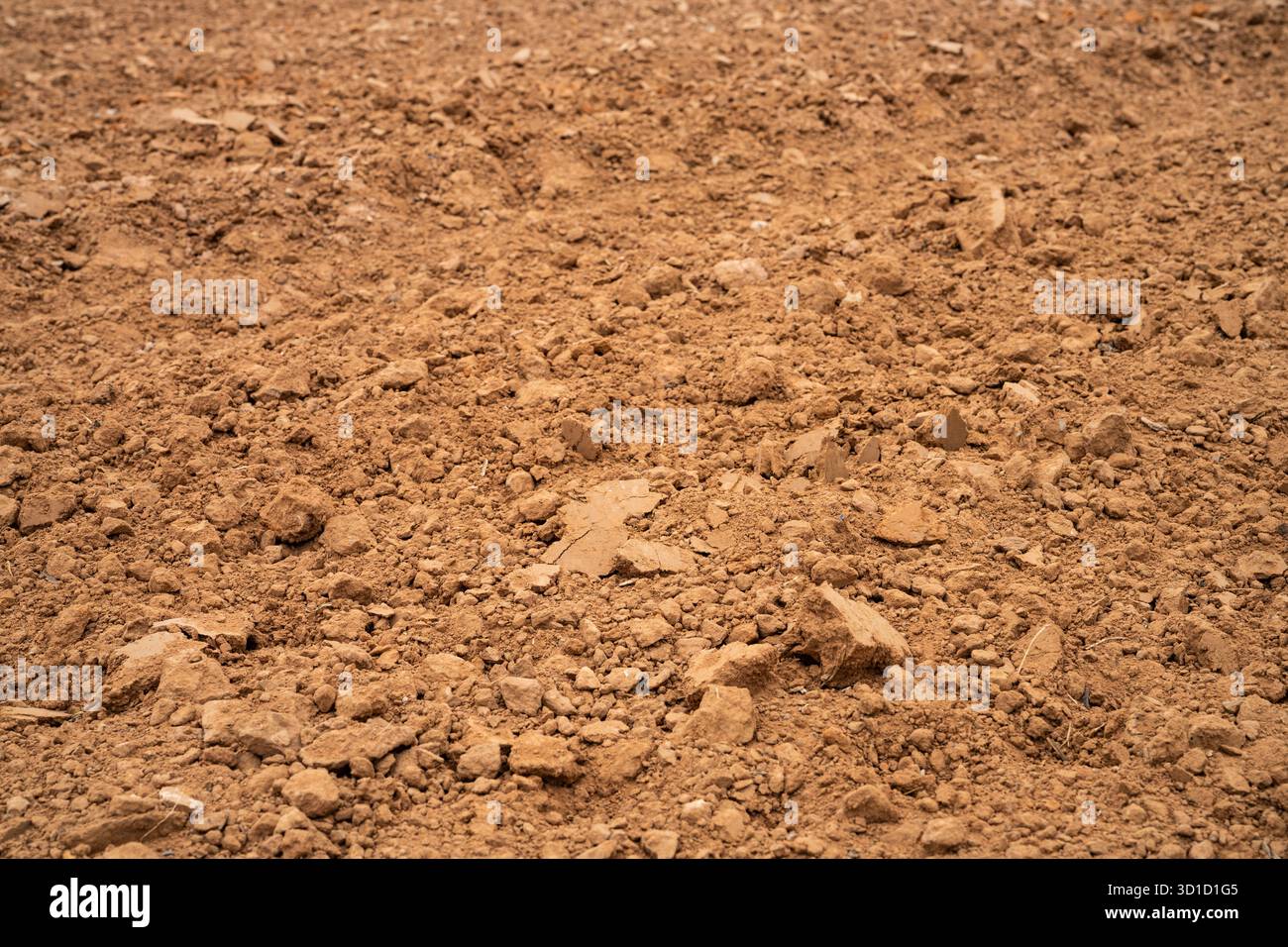 Champ agricole avec saleté labourée après la saison de récolte. Paysage agricole rural préparé pour la plantation de cultures pour soutenir l'agriculture durable et h Banque D'Images