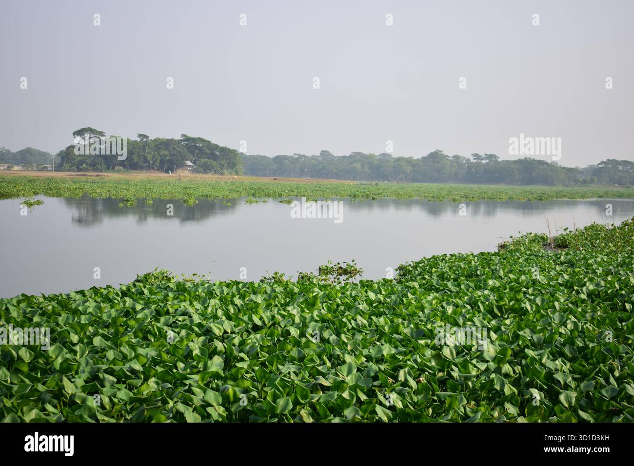 Rivière Dhanagoda, Chandpur - voie navigable sereine qui traverse le cœur du Bangladesh rural Banque D'Images