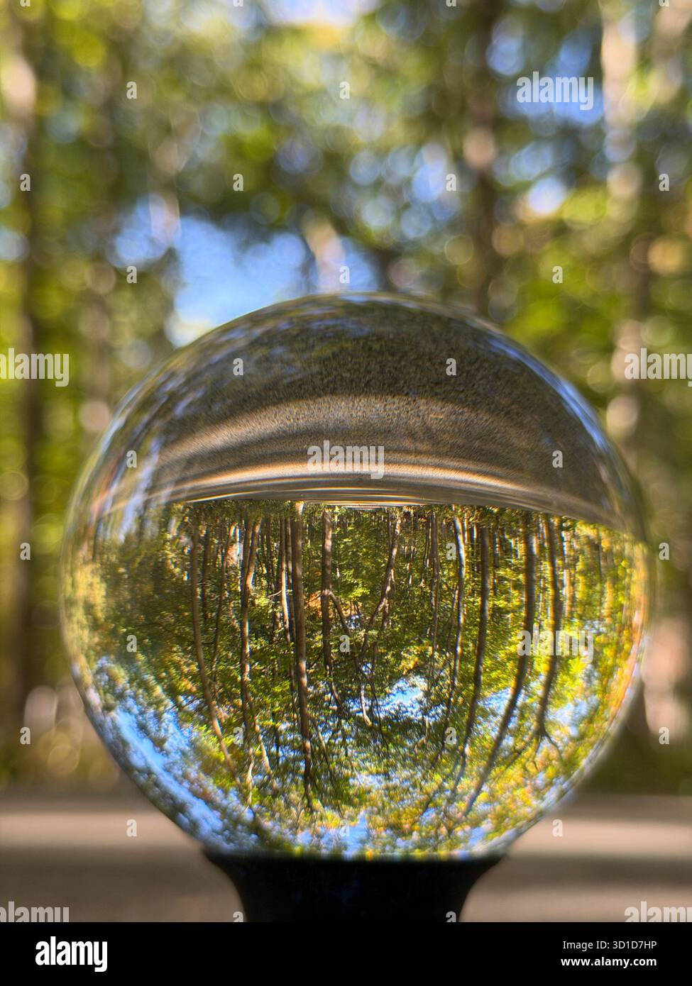 Sphère de verre de cristal reposant sur une bûche reflète les arbres d'automne colorés, symbolisant la réflexion, la clarté et la perspective paisible. Banque D'Images