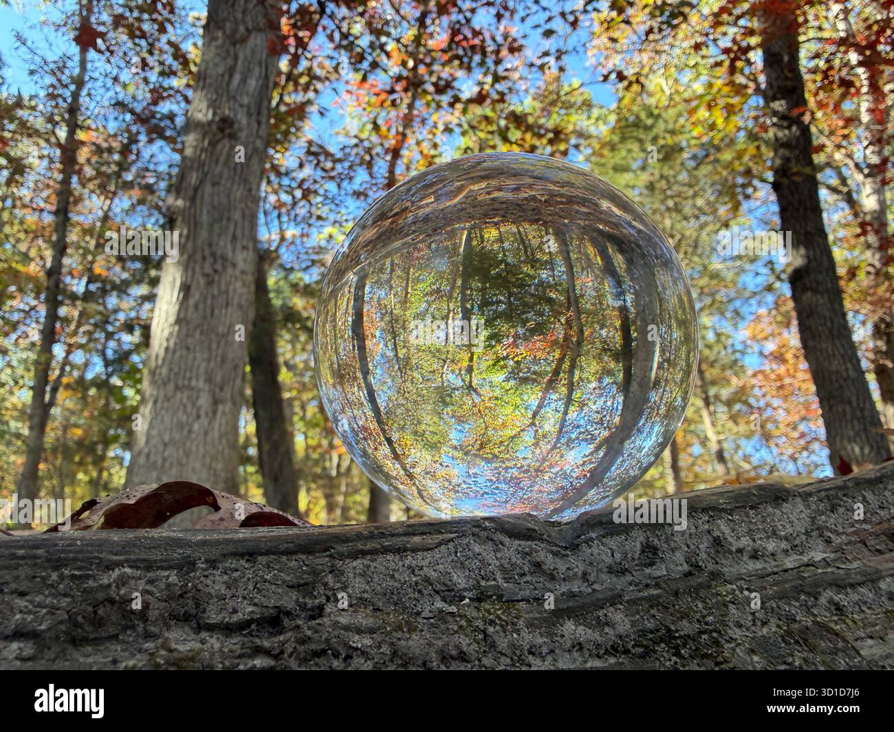 Sphère de verre de cristal reposant sur une bûche reflète les arbres d'automne colorés, symbolisant la réflexion, la clarté et la perspective paisible. Banque D'Images