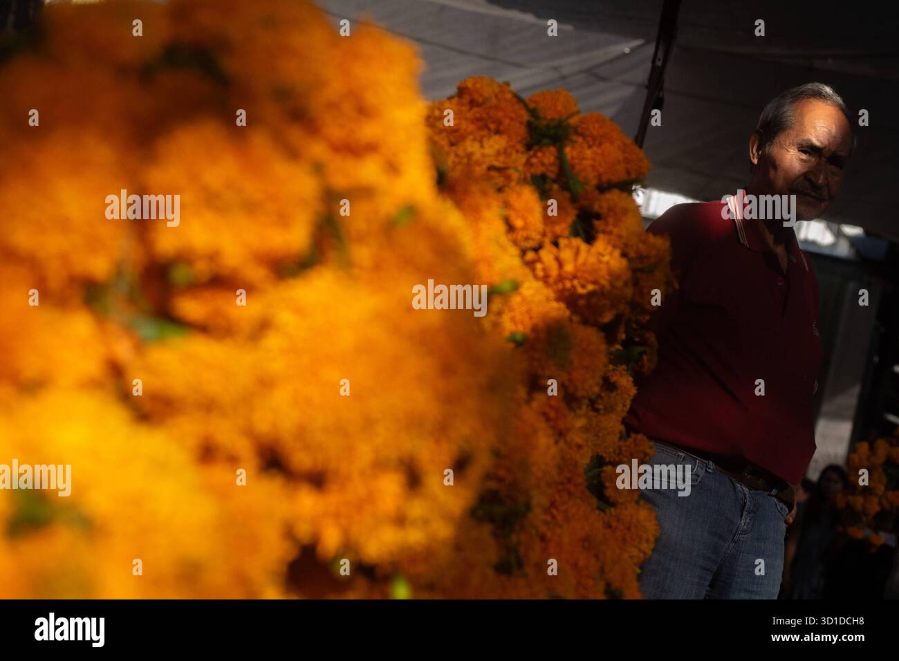 Vente de fleurs de Cempasuchil et de carton pour le jour des morts vendeurs au marché de la Jamaïque offrent des fleurs de Cempasuchil pour décorer des offrandes pour les célébrations du jour des morts. Le 26 octobre 2025 à Mexico, Mexique. Mexico CDMX Mexique Copyright : xMarcoxGonzalezx Banque D'Images