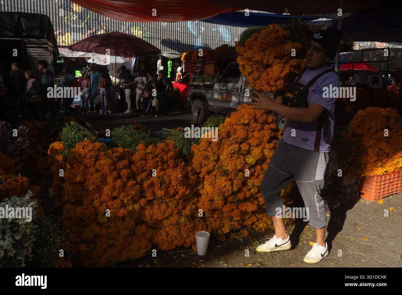 Vente de fleurs de Cempasuchil et de carton pour le jour des morts vendeurs au marché de la Jamaïque offrent des fleurs de Cempasuchil pour décorer des offrandes pour les célébrations du jour des morts. Le 26 octobre 2025 à Mexico, Mexique. Mexico CDMX Mexique Copyright : xMarcoxGonzalezx Banque D'Images