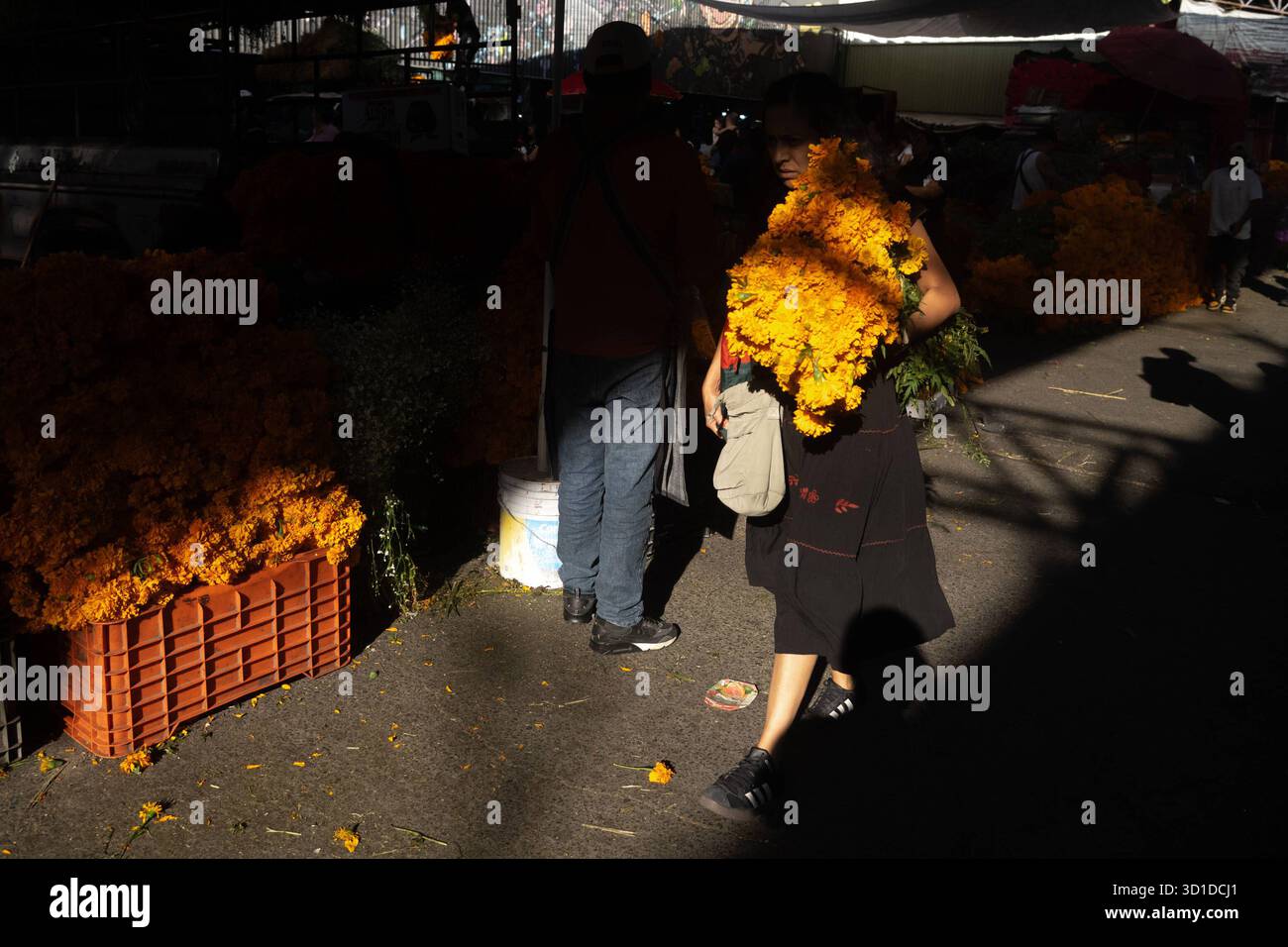 Vente de fleurs de Cempasuchil et de carton pour le jour des morts vendeurs au marché de la Jamaïque offrent des fleurs de Cempasuchil pour décorer des offrandes pour les célébrations du jour des morts. Le 26 octobre 2025 à Mexico, Mexique. Mexico CDMX Mexique Copyright : xMarcoxGonzalezx Banque D'Images