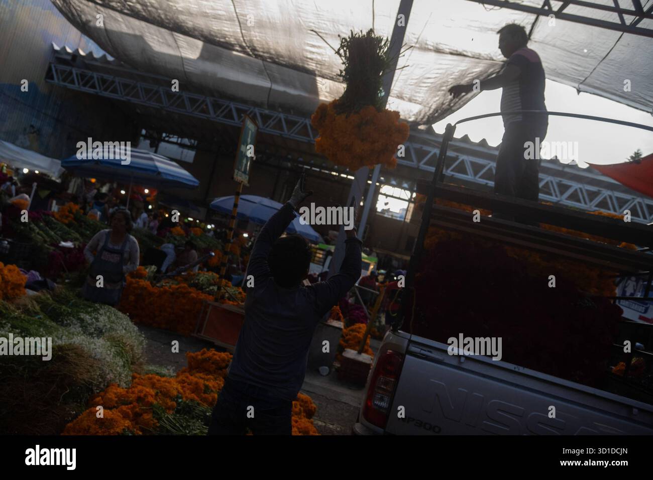 Vente de fleurs de Cempasuchil et de carton pour le jour des morts vendeurs au marché de la Jamaïque offrent des fleurs de Cempasuchil pour décorer des offrandes pour les célébrations du jour des morts. Le 26 octobre 2025 à Mexico, Mexique. Mexico CDMX Mexique Copyright : xMarcoxGonzalezx Banque D'Images