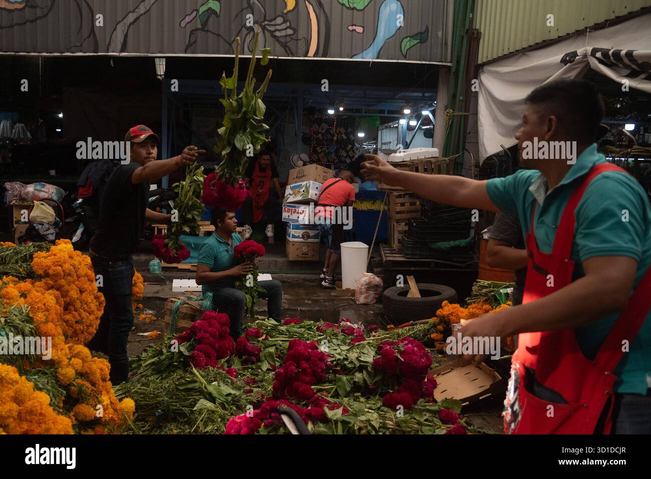 Vente de fleurs de Cempasuchil et de carton pour le jour des morts vendeurs au marché de la Jamaïque offrent des fleurs de Cempasuchil pour décorer des offrandes pour les célébrations du jour des morts. Le 26 octobre 2025 à Mexico, Mexique. Mexico CDMX Mexique Copyright : xMarcoxGonzalezx Banque D'Images