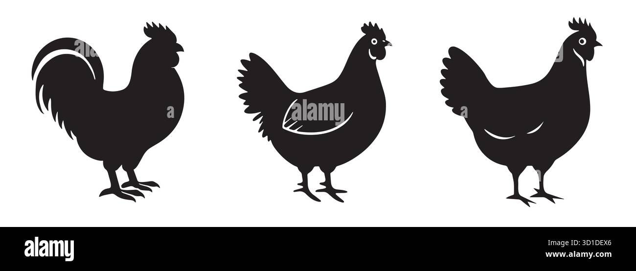 Icônes de silhouette de poulet. Ensemble de vecteur de coq et de poule pour Farm Design. Illustration de Vecteur
