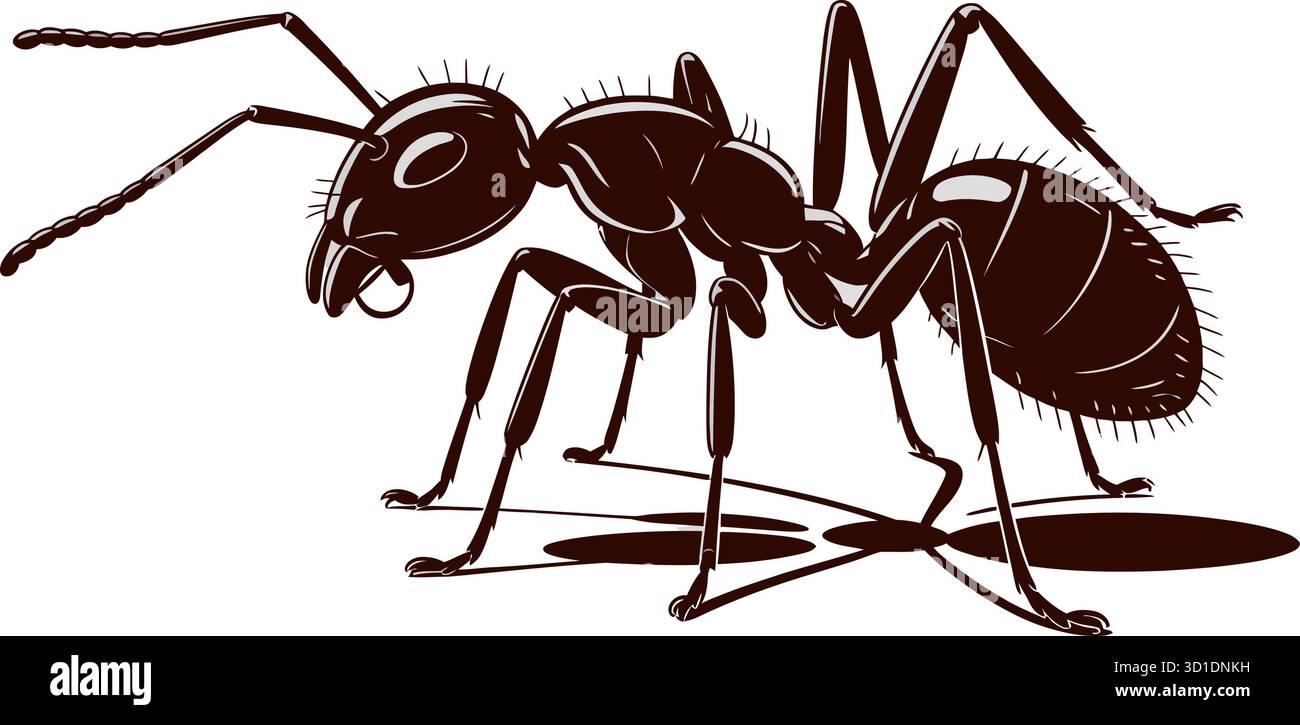 Vecteur Ant détaillé – illustration stylisée de l'insecte avec corps segmenté et profil d'ombre Illustration de Vecteur