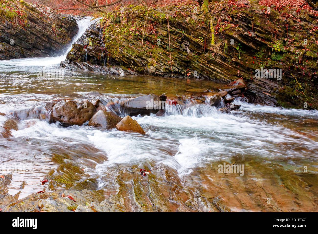 petite cascade sur la rivière turichka dans la forêt près du village de bois de transcarpathie, ukraine. vue en angle bas du rivage. belle automnale Banque D'Images