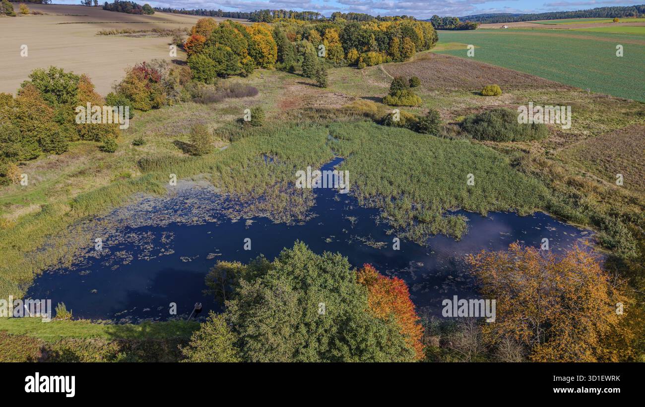 Un étang calme dans la nature montre des couleurs d'automne impressionnantes. Les arbres au feuillage lumineux entourent l'eau, qui brille à la lumière du soleil. La scène rayonne Banque D'Images