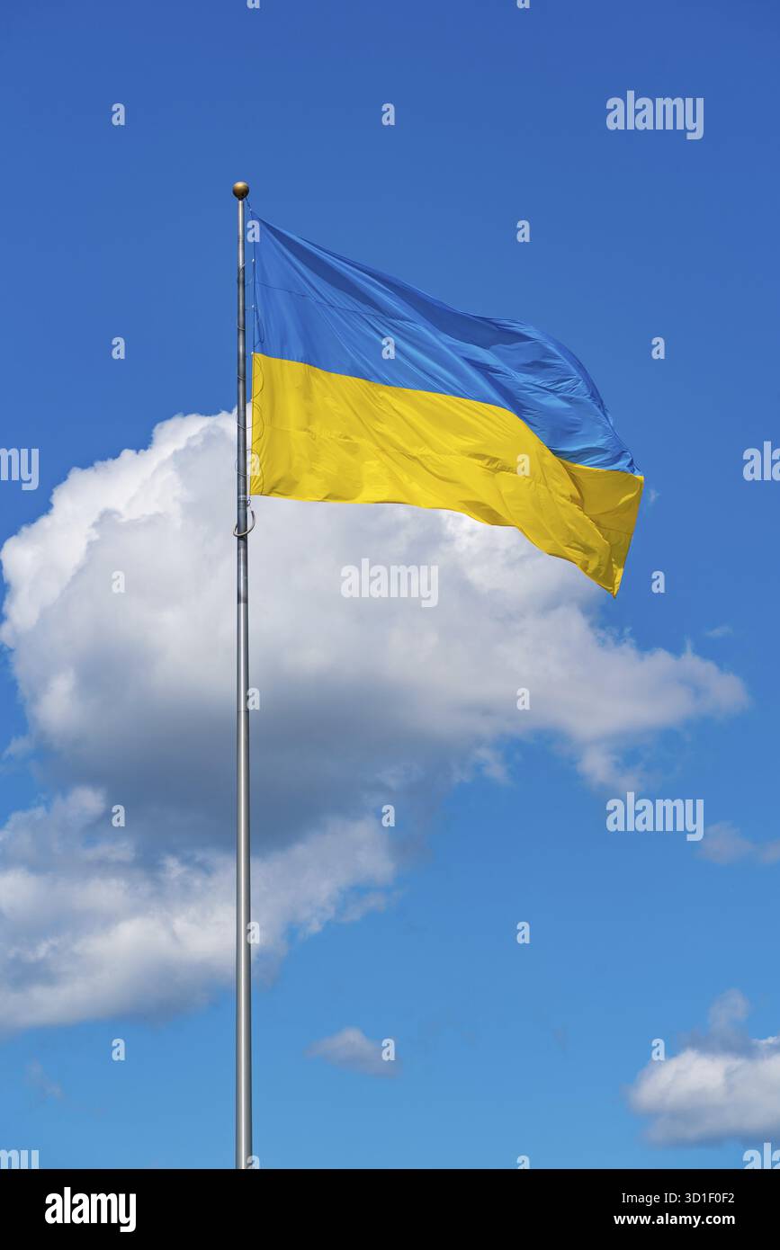 Drapeau de l'Ukraine avec le ciel et les nuages comme arrière-plan Banque D'Images