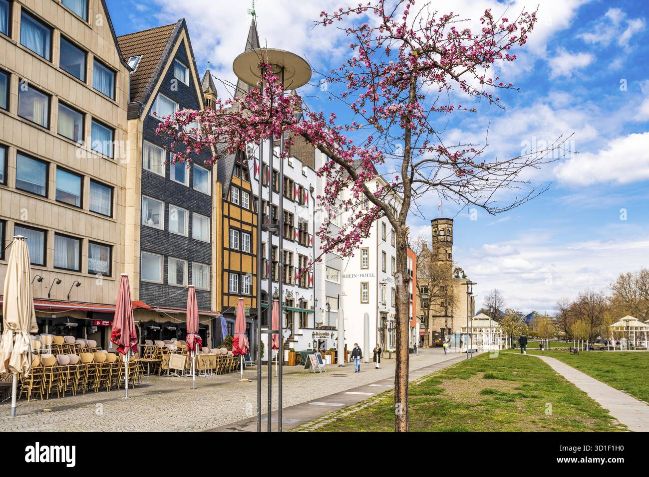 Maisons de ville colorées, Cologne, Rhénanie du Nord Westphalie, Allemagne Banque D'Images