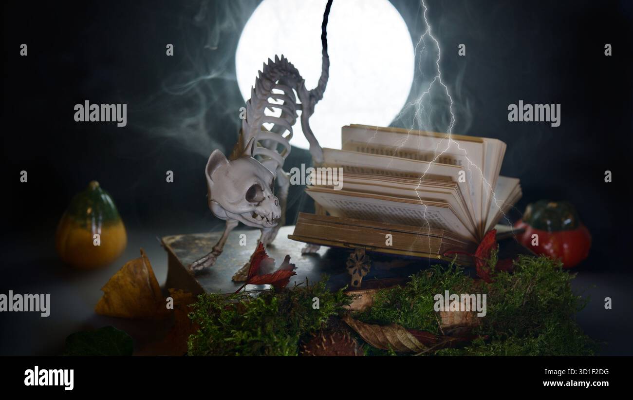 Le squelette d'un chat, un livre ouvert, une pleine lune, de la fumée, des citrouilles, foudre. Paysage d'Halloween. Banque D'Images