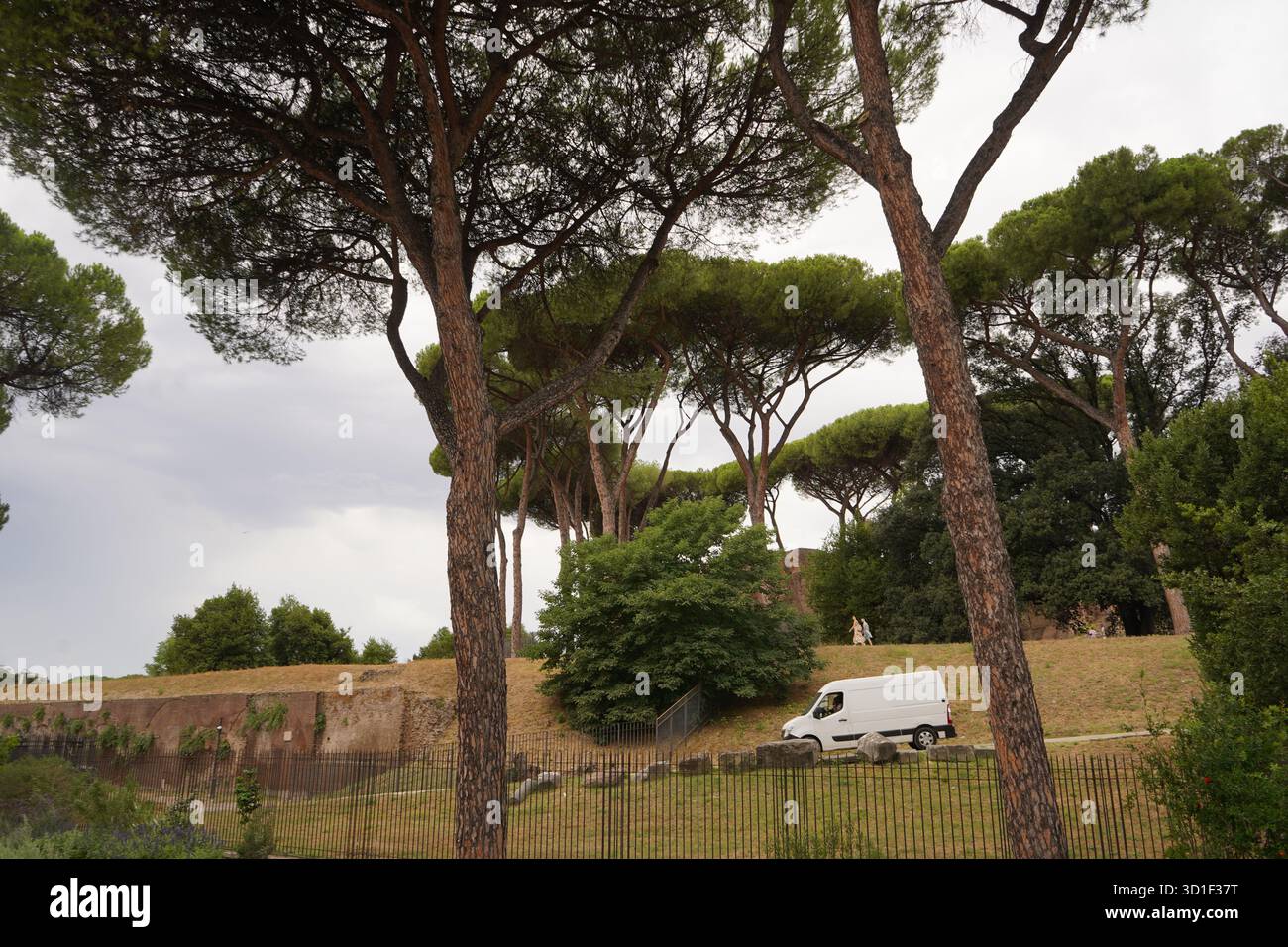 Des pins romains emblématiques encadrent une camionnette blanche en mouvement et deux femmes marchant sur une pente herbeuse, contre les anciens murs de la ville. Banque D'Images