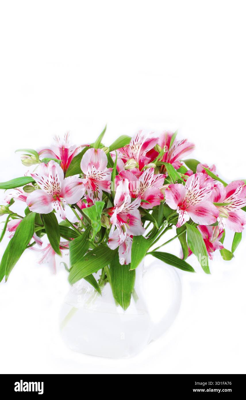 Orchidées sauvages rose vase en verre Banque D'Images