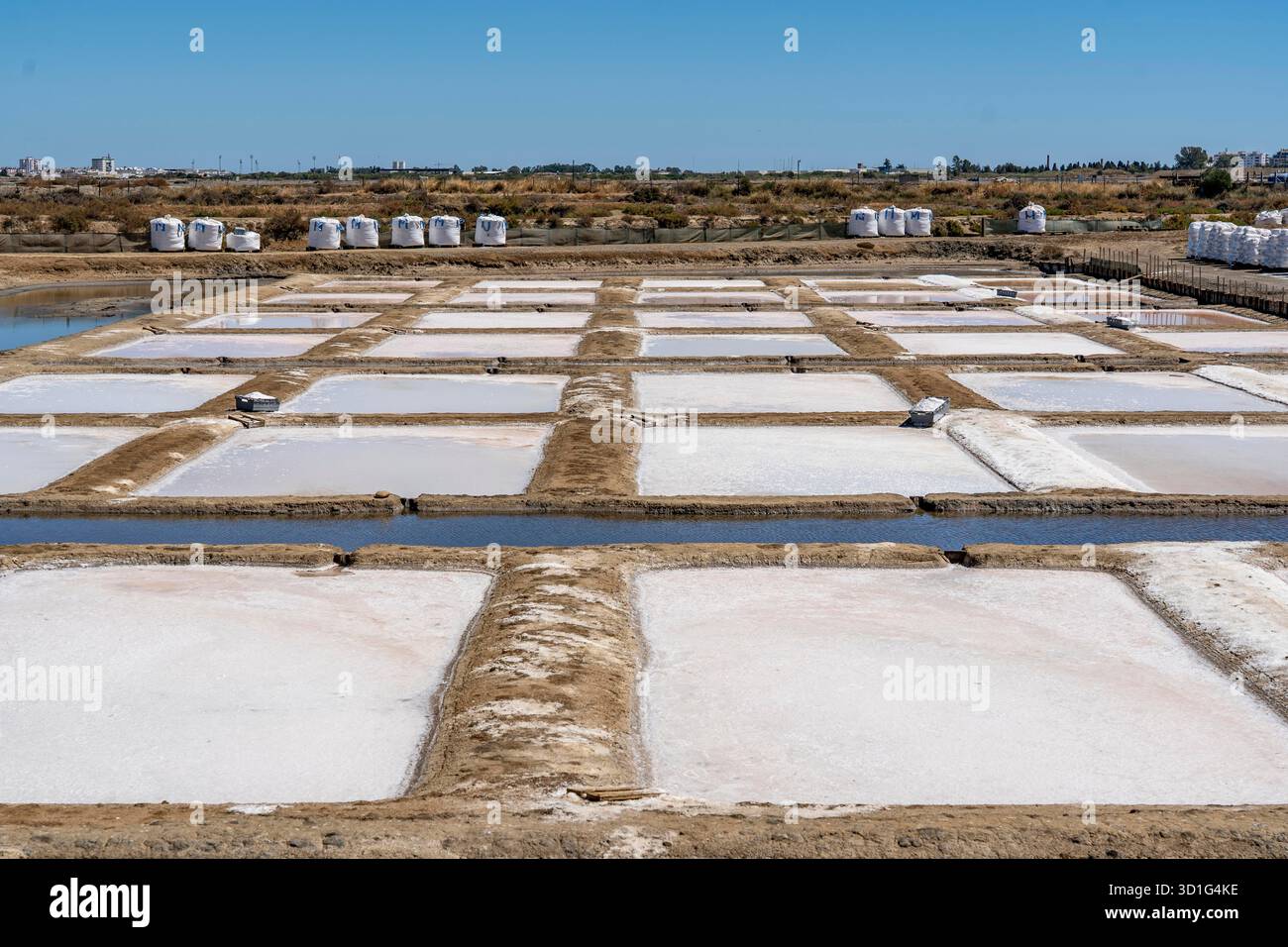 Production de sel sur la côte de l'Algarve au Portugal, 95 pour cent du sel marin portugais est produit ici, dans les marais salants près de Vila Real de Santo António, Flor Banque D'Images