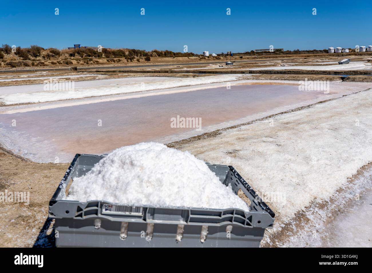 Production de sel sur la côte de l'Algarve au Portugal, 95 pour cent du sel marin portugais est produit ici, dans les marais salants près de Vila Real de Santo António, Flor Banque D'Images