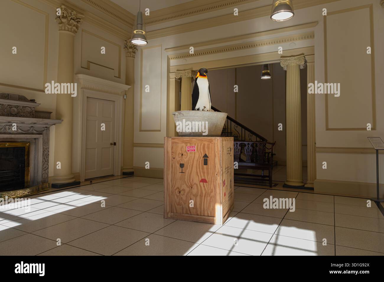 Le manchot empereur de l'artiste américain Mark Dion est vu dans la galerie Hugh Lane. L’article aborde les thèmes du changement climatique et de l’impact des humains. Banque D'Images