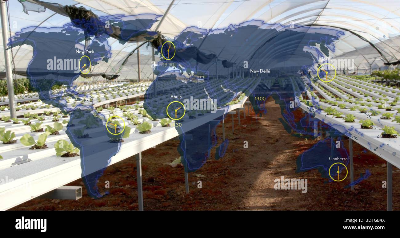 Avec laitue hydroponique sur des supports métalliques poussant dans une serre en plastique, avec superposition de carte du monde Banque D'Images