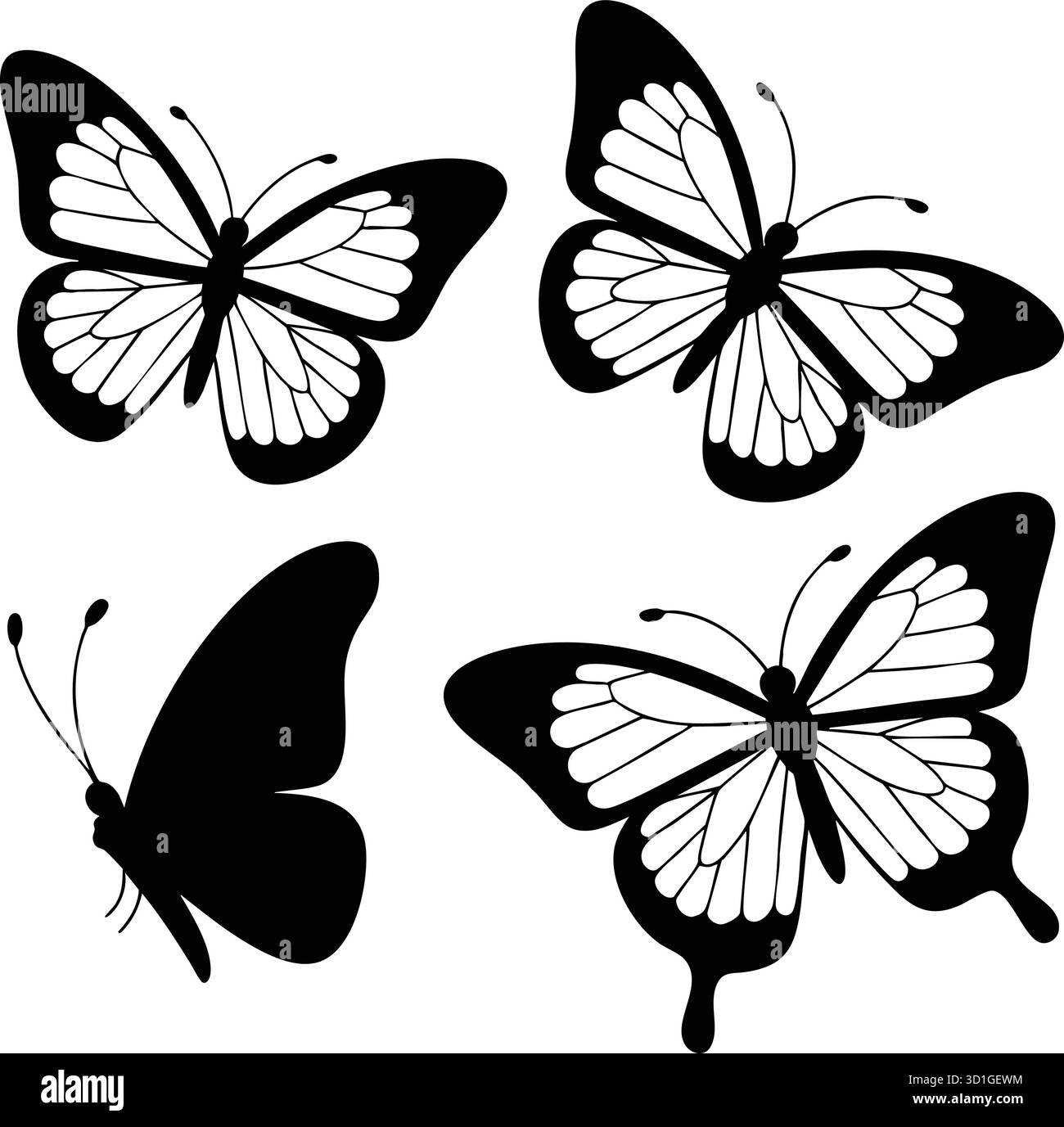 Élégant ensemble de silhouette papillon noir et blanc Illustration de Vecteur