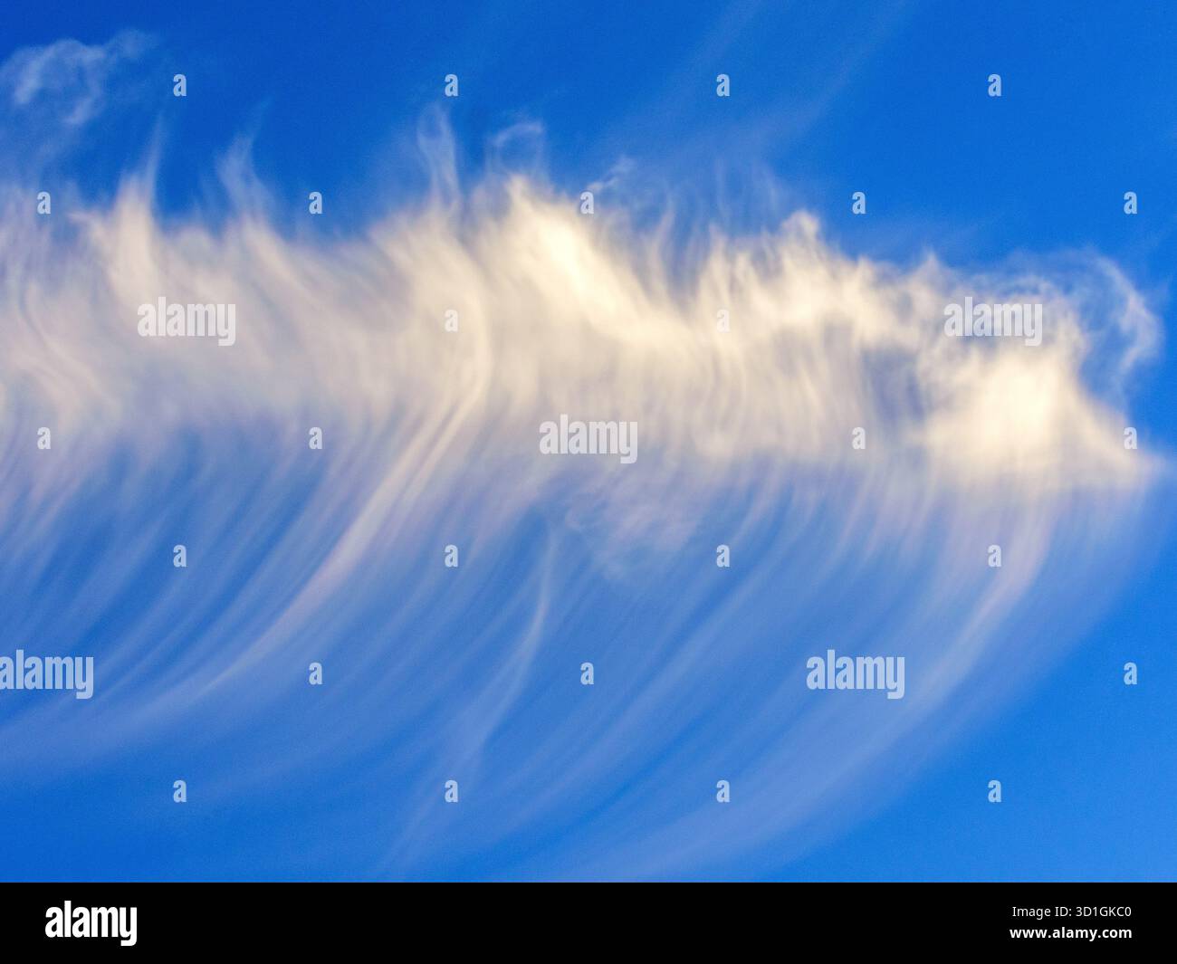 Nuages Cirrus inhabituels de haute altitude contre un ciel bleu - centre de la France. Banque D'Images