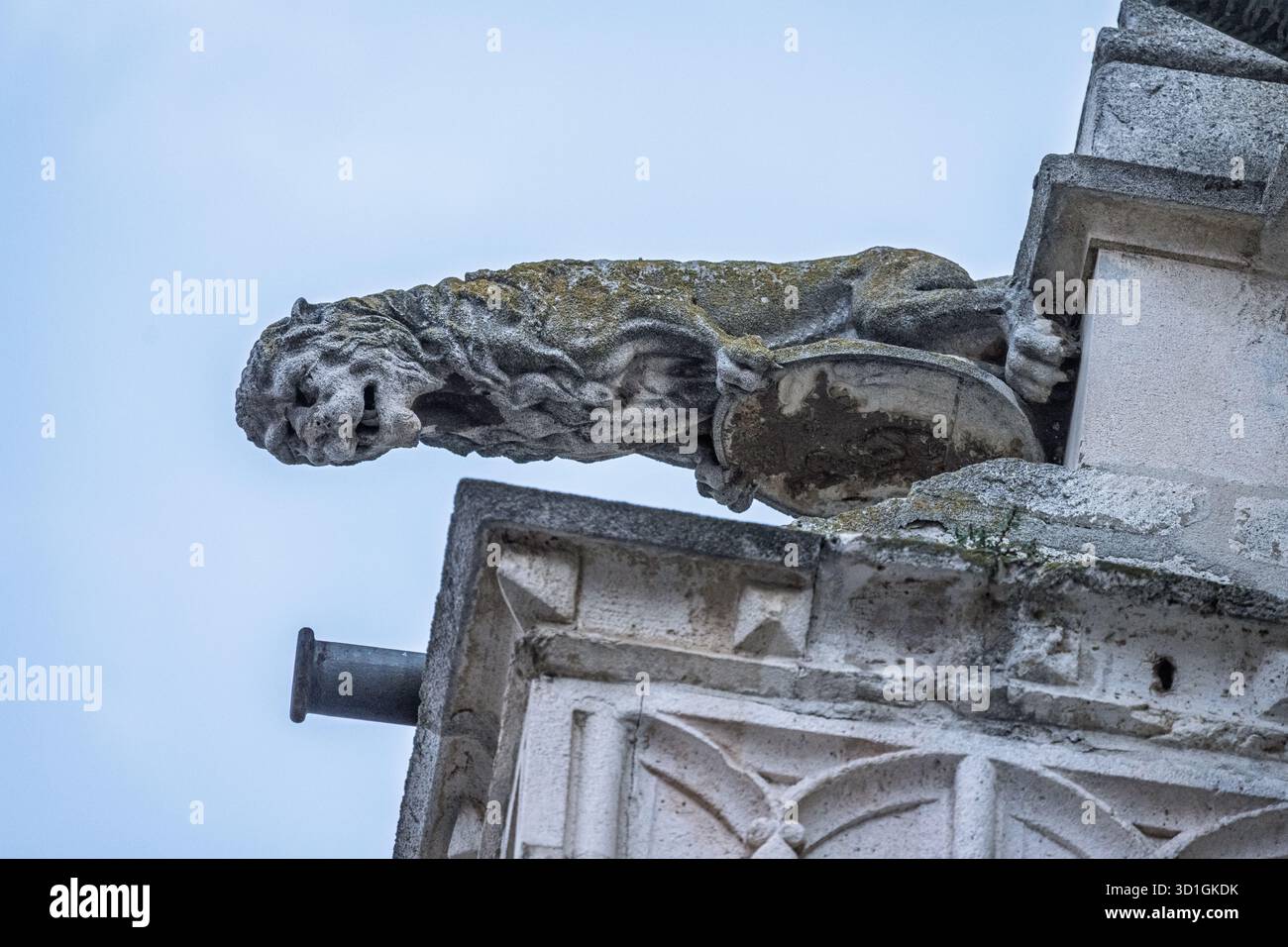 Une gargouille lion rampant au-dessus de la corniche de la cathédrale de Palencia affiche ses éléments en pierre à côté de décorations géométriques et d'un tuyau d'évacuation. Banque D'Images