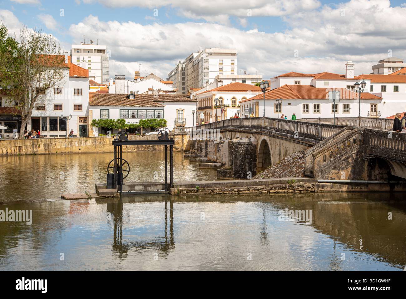 La rivière Nabão coule à travers la ville portugaise de Tomar Portugal Banque D'Images