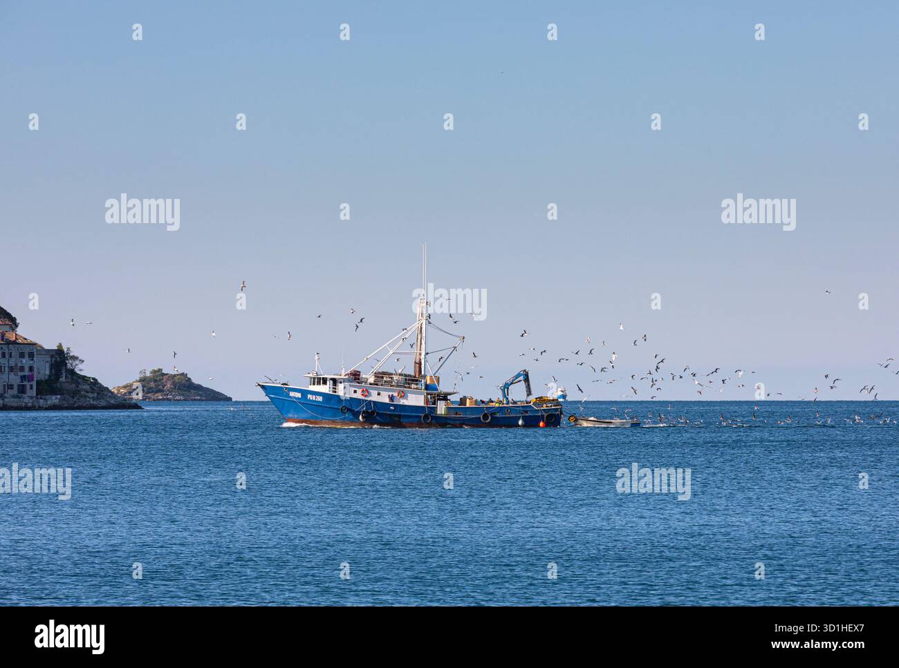 Le bateau de pêche retourne au port de Rovinj Banque D'Images