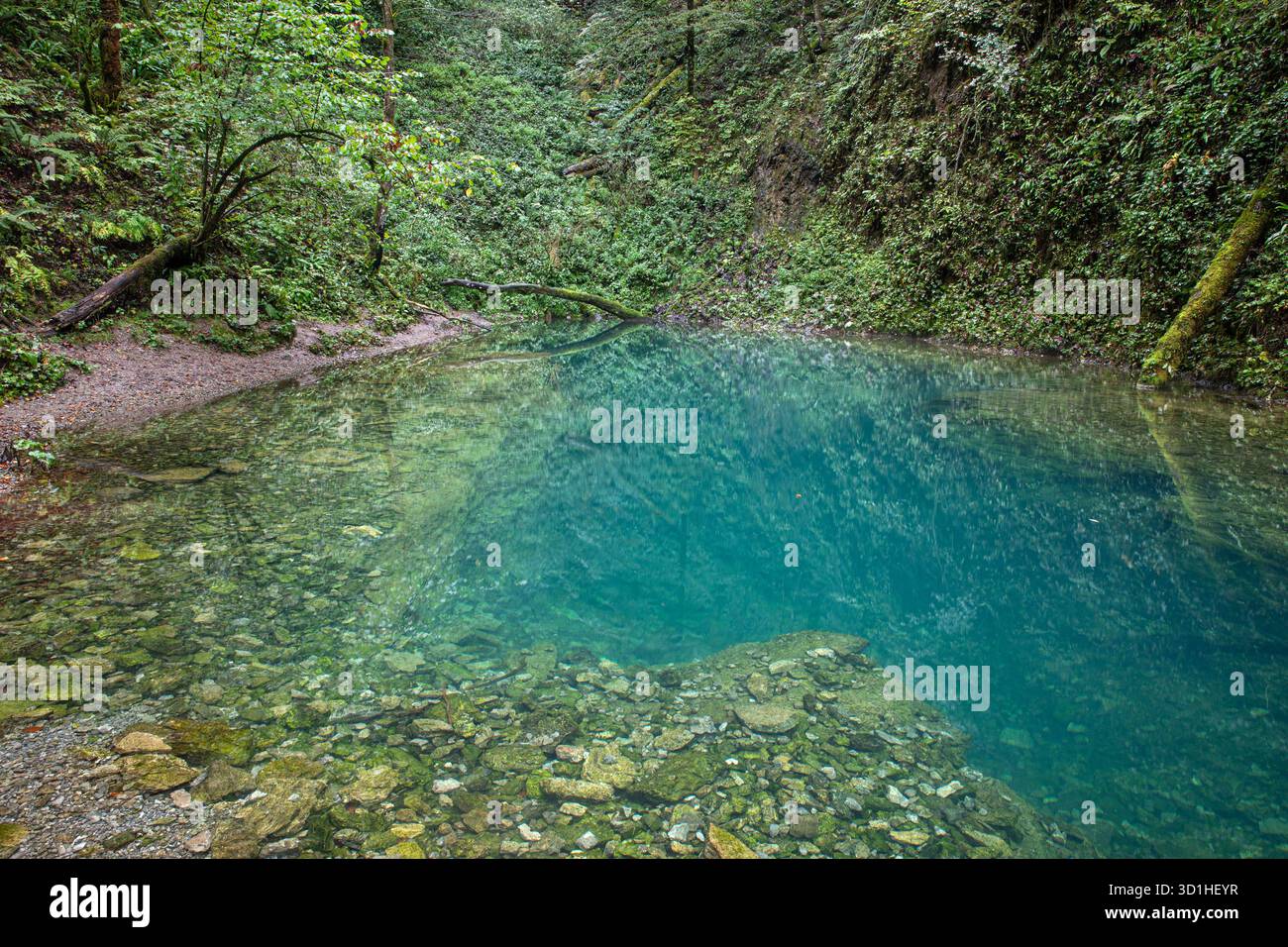 Source de la rivière Kamacnik à Gorski Kotar, Croatie Banque D'Images