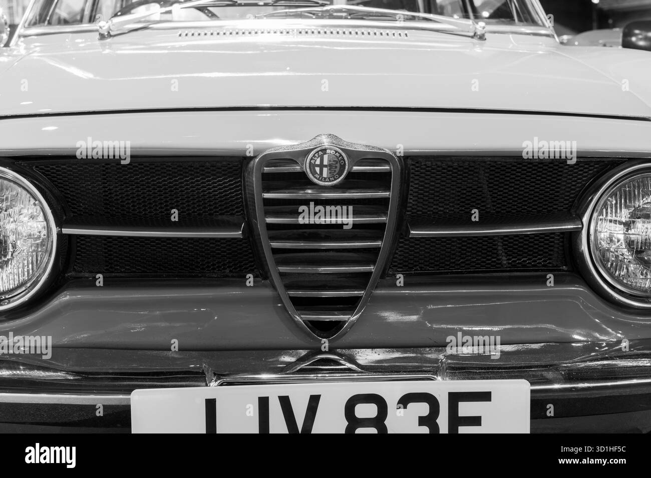 Sparkford.Somerset.United Kingdom.12 janvier 2025.une Alfa Romeo Giulia Sprint GT de 1967 est exposée au Haynes Motor Museum de Somerset Banque D'Images