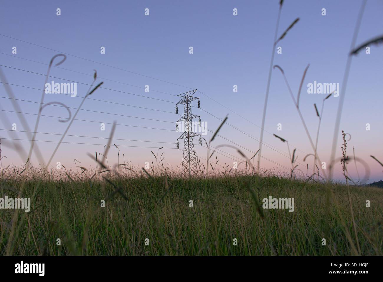 Tour de transmission électrique s'élevant au-dessus des hautes herbes au coucher du soleil, mélangeant technologie et nature sous un ciel pastel calme dans un paysage rural paisible Banque D'Images
