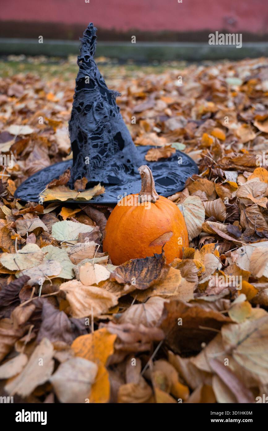 Chapeau de sorcière noir et citrouille orange se trouvent parmi les feuilles d'automne tombées, symbolisant l'essence d'Halloween avec des couleurs chaudes de saison Banque D'Images