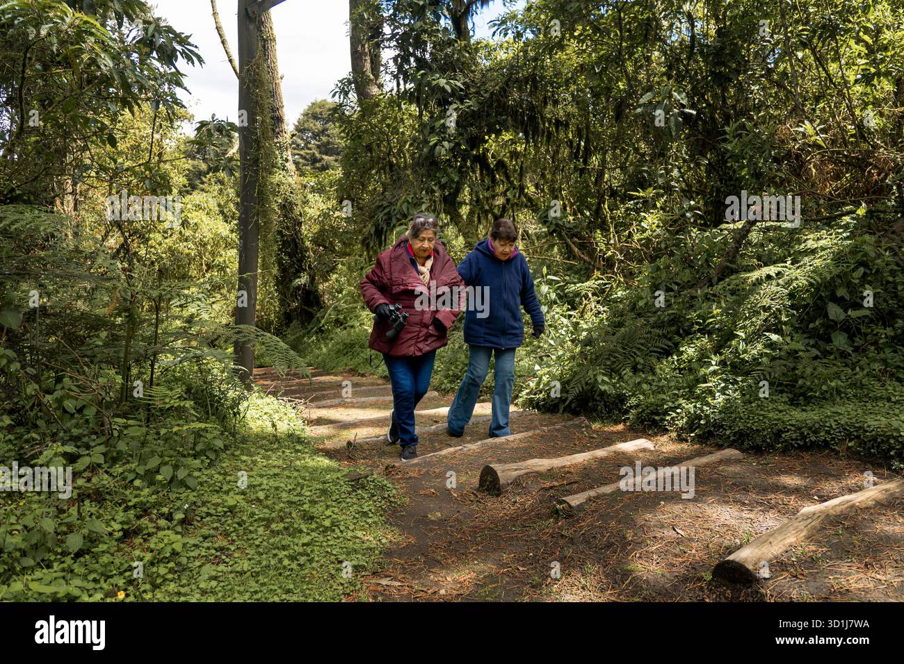Deux femmes âgées actives découvrant joyeusement la nature en marchant sur un sentier forestier Banque D'Images