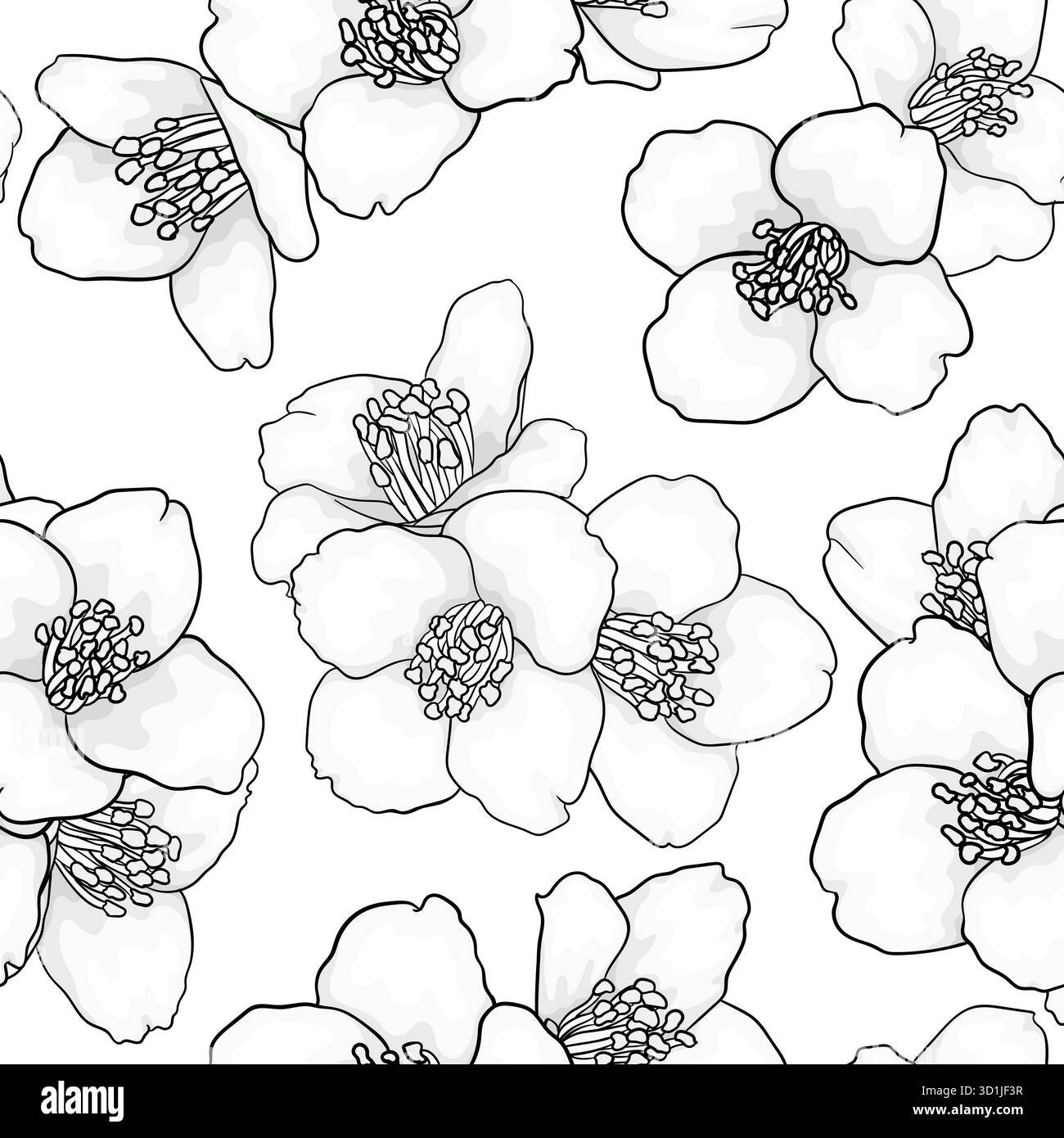 modèle sans couture avec des fleurs noires et blanches marguerite. illustration vectorielle. conception pour cartes de voeux et invitations de mariage, anniversaire Illustration de Vecteur