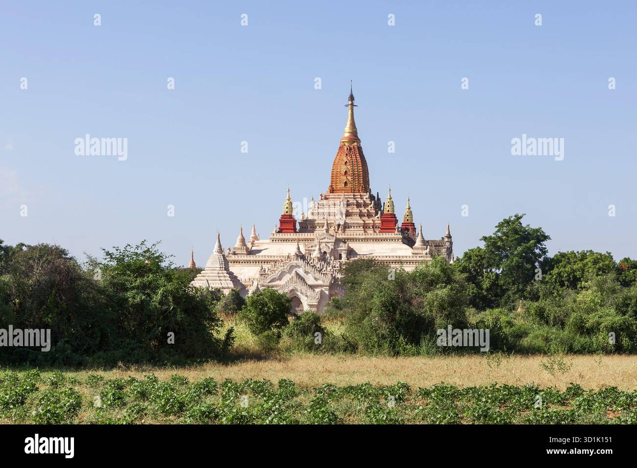 Une ancienne pagode à Bagan, Myanmar. Un vieux stupa bouddhiste et des buissons verts sont visibles par temps clair. Banque D'Images