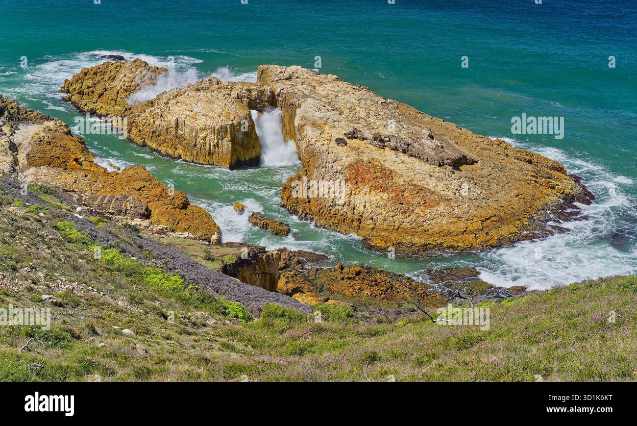Vagues s'écrasant à travers la voûte marine naturelle dans la formation rocheuse par jour ensoleillé lors de la randonnée Diamond Head à Crowdy Bay, Nouvelle-Galles du Sud, Australie Banque D'Images