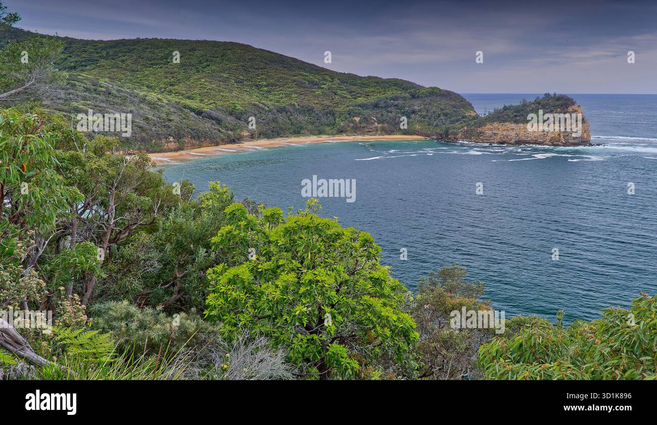 Plage de Maitland dans une baie incurvée avec océan calme et promontoire rocheux couvert de végétation forestière au parc national de Bouddi, Nouvelle-Galles du Sud, Australie Banque D'Images