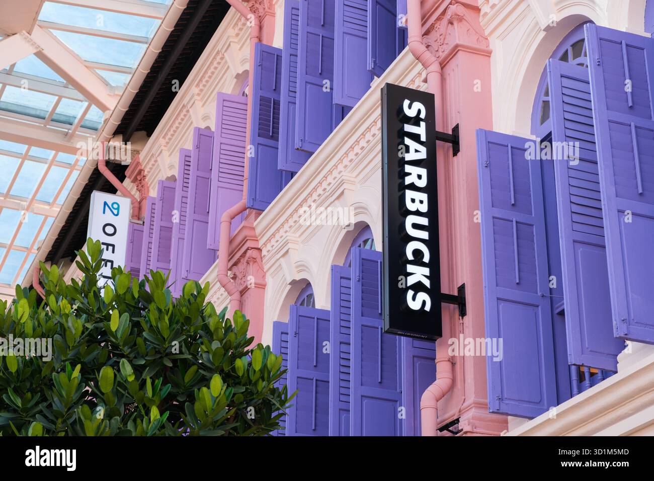 Starbucks avec volets violets et murs roses. Les gens passent devant, appréciant l'atmosphère animée et les éléments de design uniques. Banque D'Images