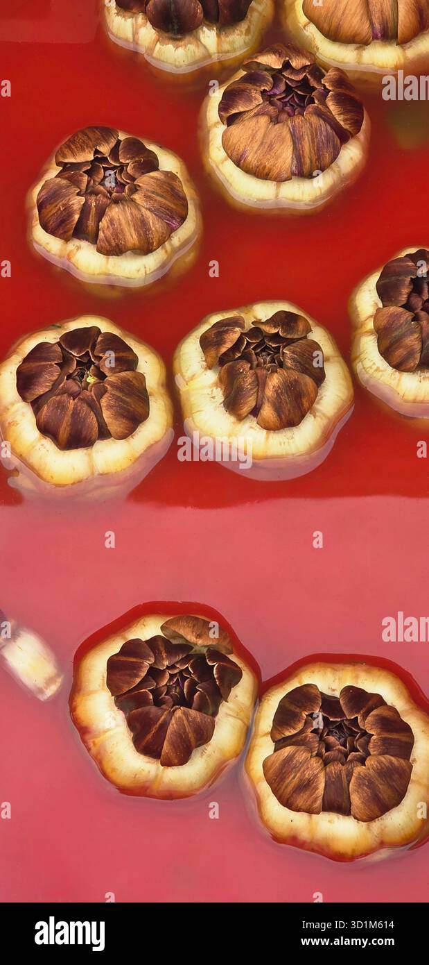 Les bulbes d'ail flottent dans un liquide rouge vif, mettant en valeur leurs textures et couleurs uniques, créant une composition artistique et visuellement frappante - Image de stock capturée avec un smartphone