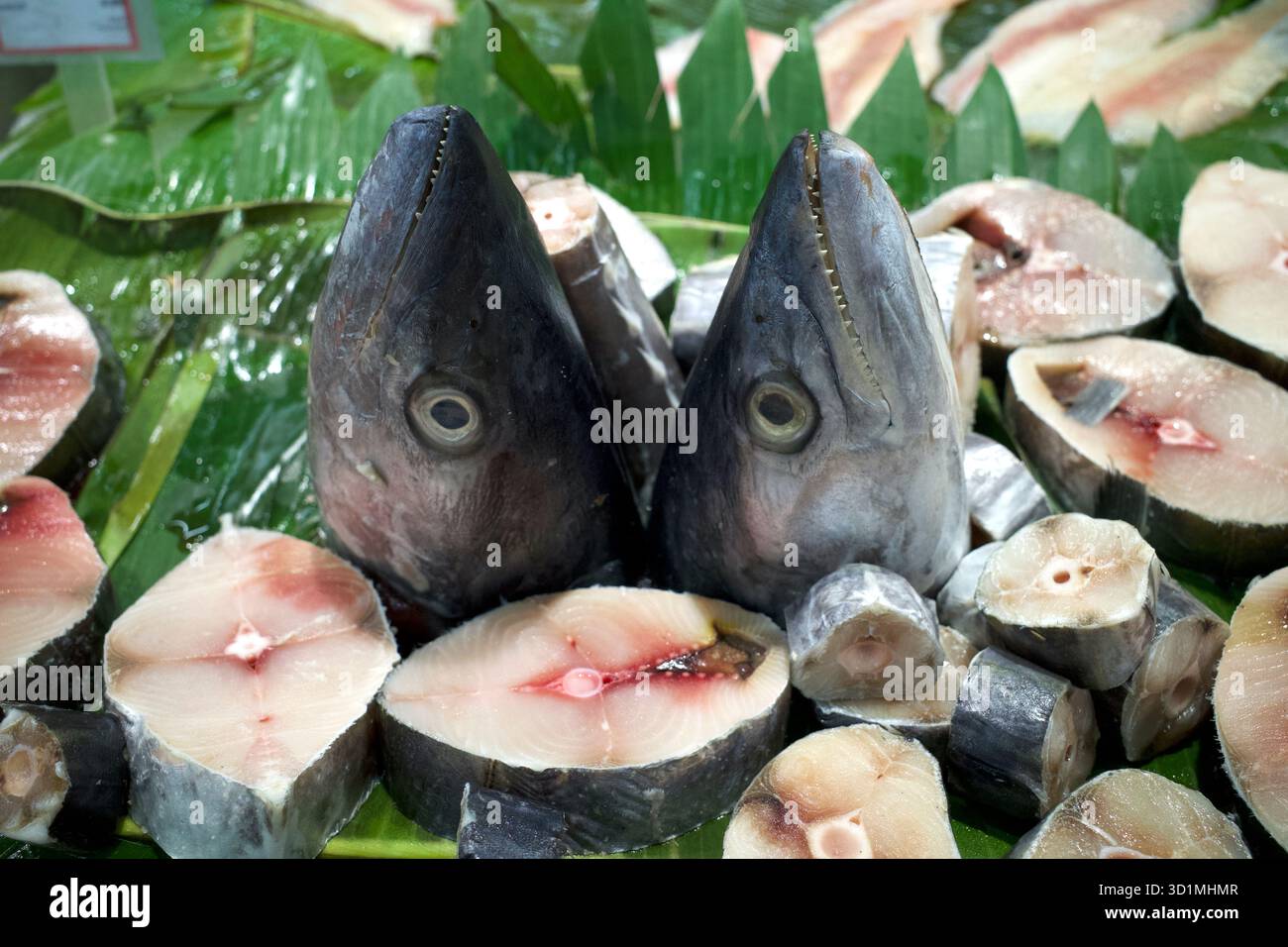 Tenggiri, poisson maquereau espagnol tranché sur feuilles de banane vertes au supermarché. Banque D'Images