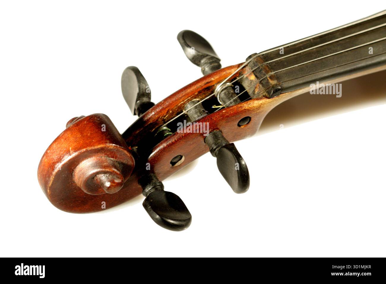 Défilement violon isolé sur fond blanc Banque D'Images