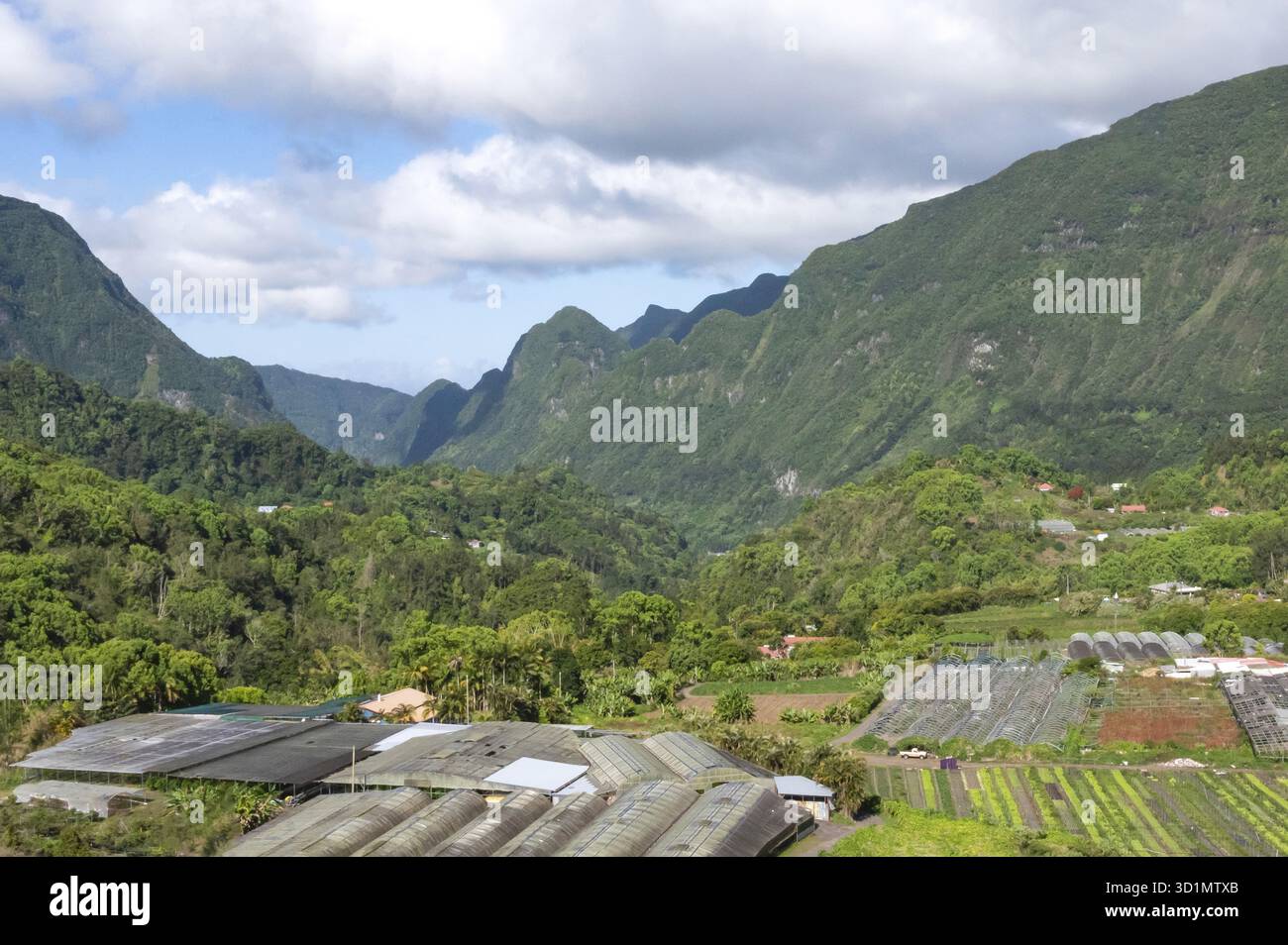 Vallée tropicale dans le Cirque de Salazie avec des falaises vertes intenses Rempart et des pentes entourées de nuages bas suspendus sous un ciel bleu, tandis que l'agriculture Banque D'Images