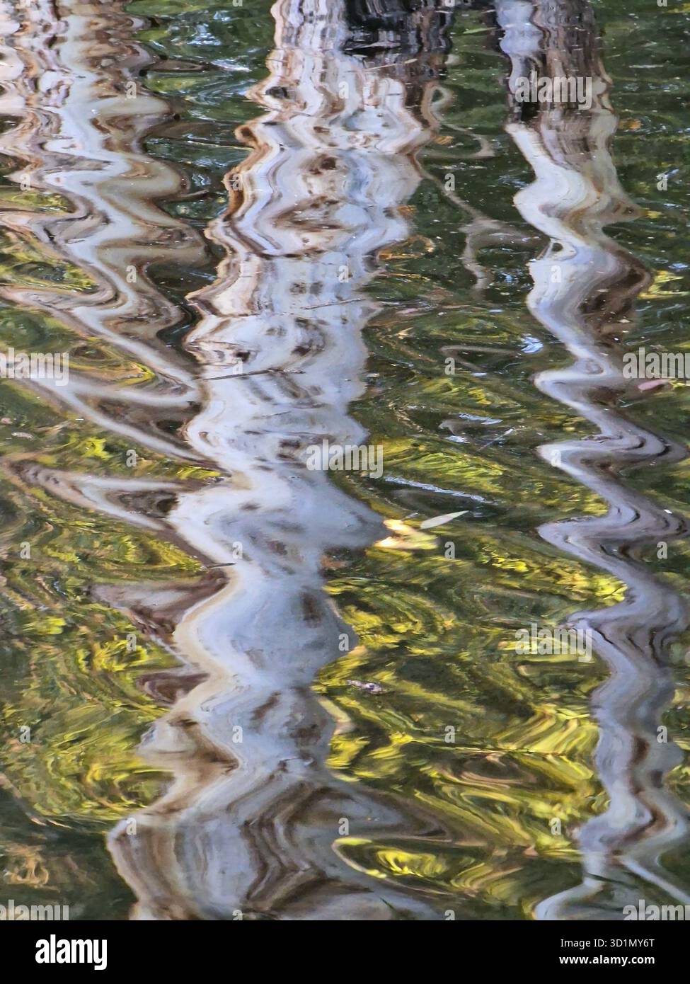 Formes ondulées abstraites de reflets de troncs d'arbres à la surface du lac Athalassa à Nicosie, Chypre. Convient comme arrière-plan, Aglantzia, Chypre Banque D'Images
