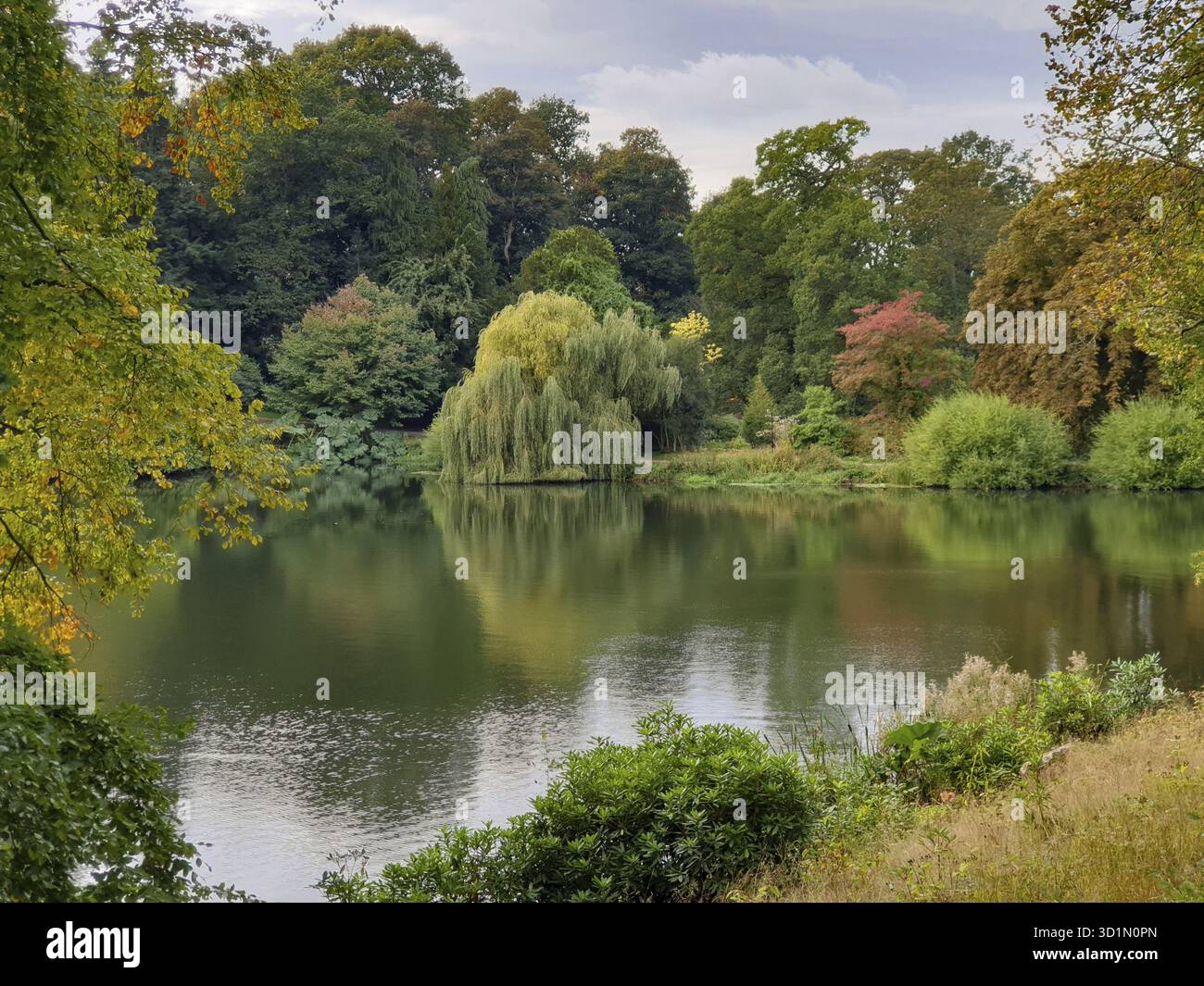 Magnifique paysage d'automne de feuillage d'arbres et un étang dans West Yorkshire à l'extérieur de Leeds au Royaume-Uni Banque D'Images