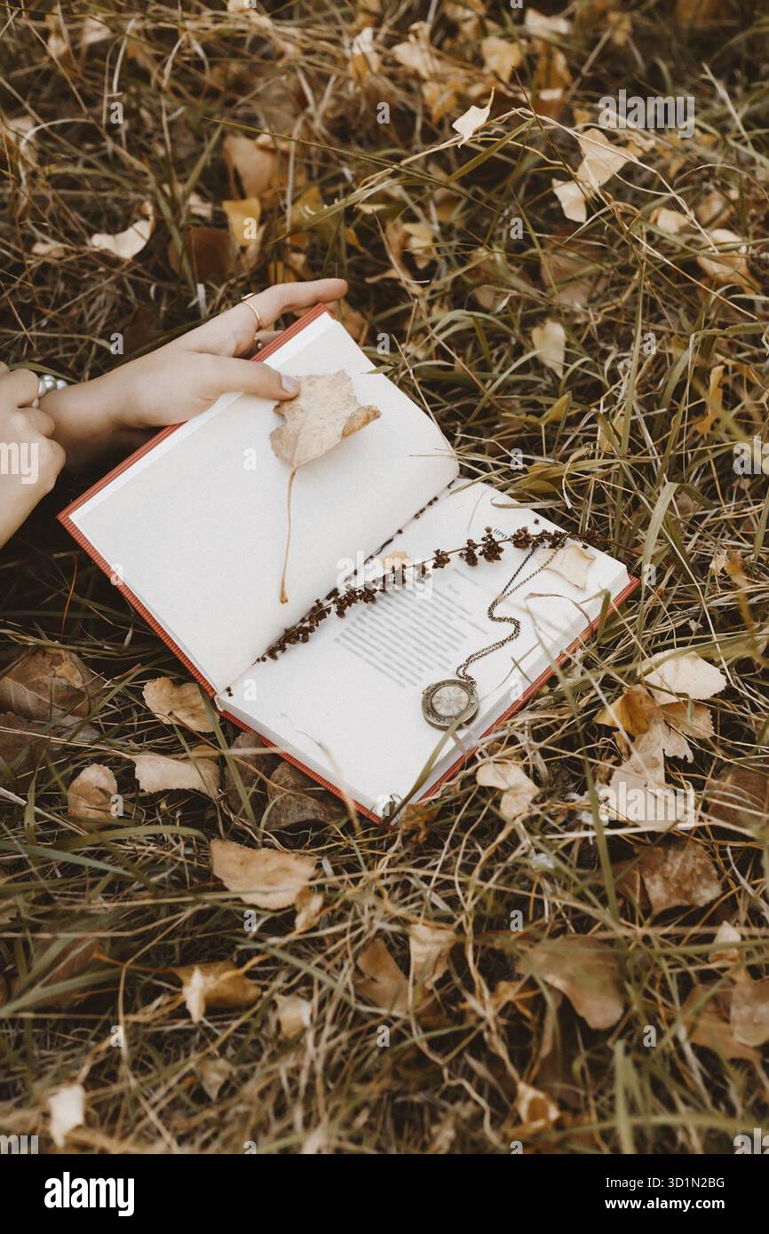 Dans l'herbe d'automne couverte de feuilles sèches déchue se trouve un livre ouvert de poésie, dans elle imbriquée tige d'herbe et vieux medallyon. Photo un volum découvert Banque D'Images