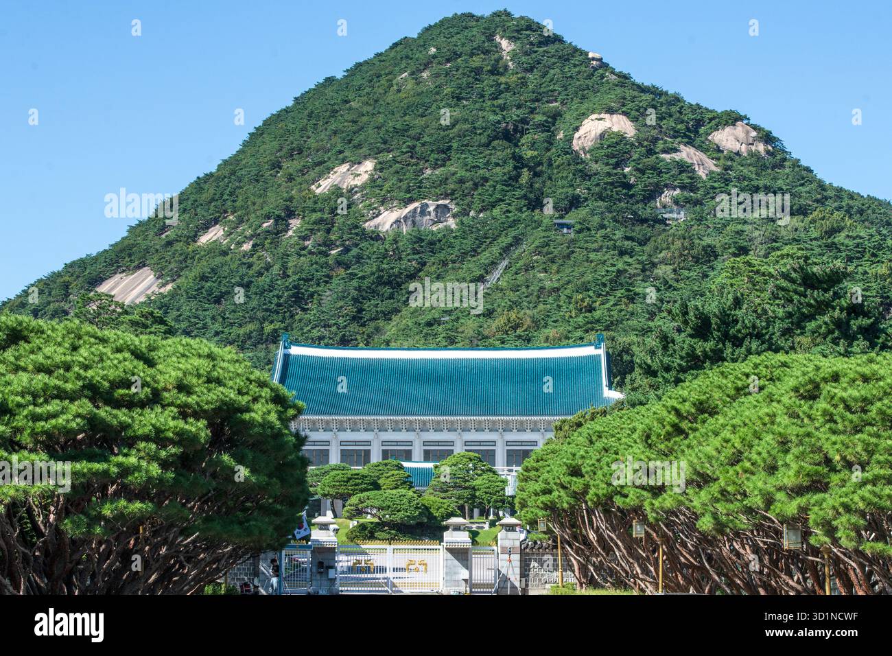 Cheong Wa Dae (Maison bleue). Séoul. Corée du Sud. Banque D'Images
