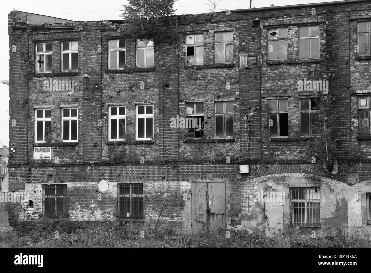 Bâtiment en briques délabré avec fenêtres cassées et végétation envahie, photo en noir et blanc Banque D'Images